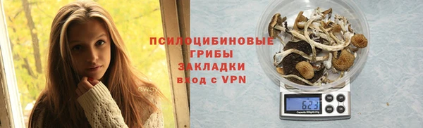 хмурый Майский