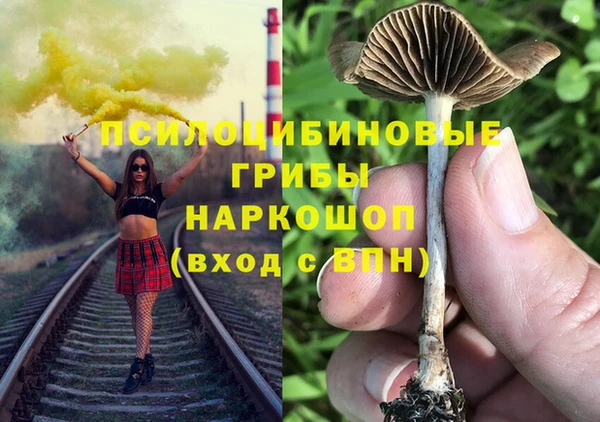 хмурый Майский