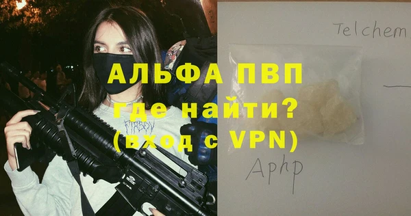круглые Магас