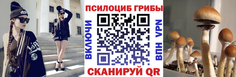 Псилоцибиновые грибы Cubensis  OMG зеркало  Орехово-Зуево 