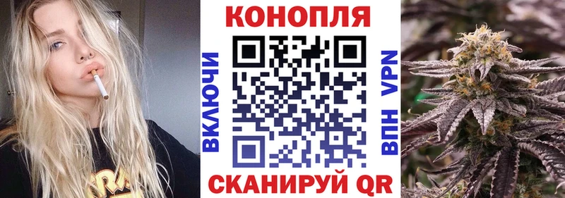 цена наркотик  Орехово-Зуево  Каннабис семена 